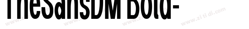 TheSansDM Bold字体转换